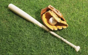 Bat Ball 11