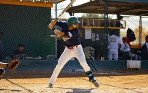 Baseball bat
